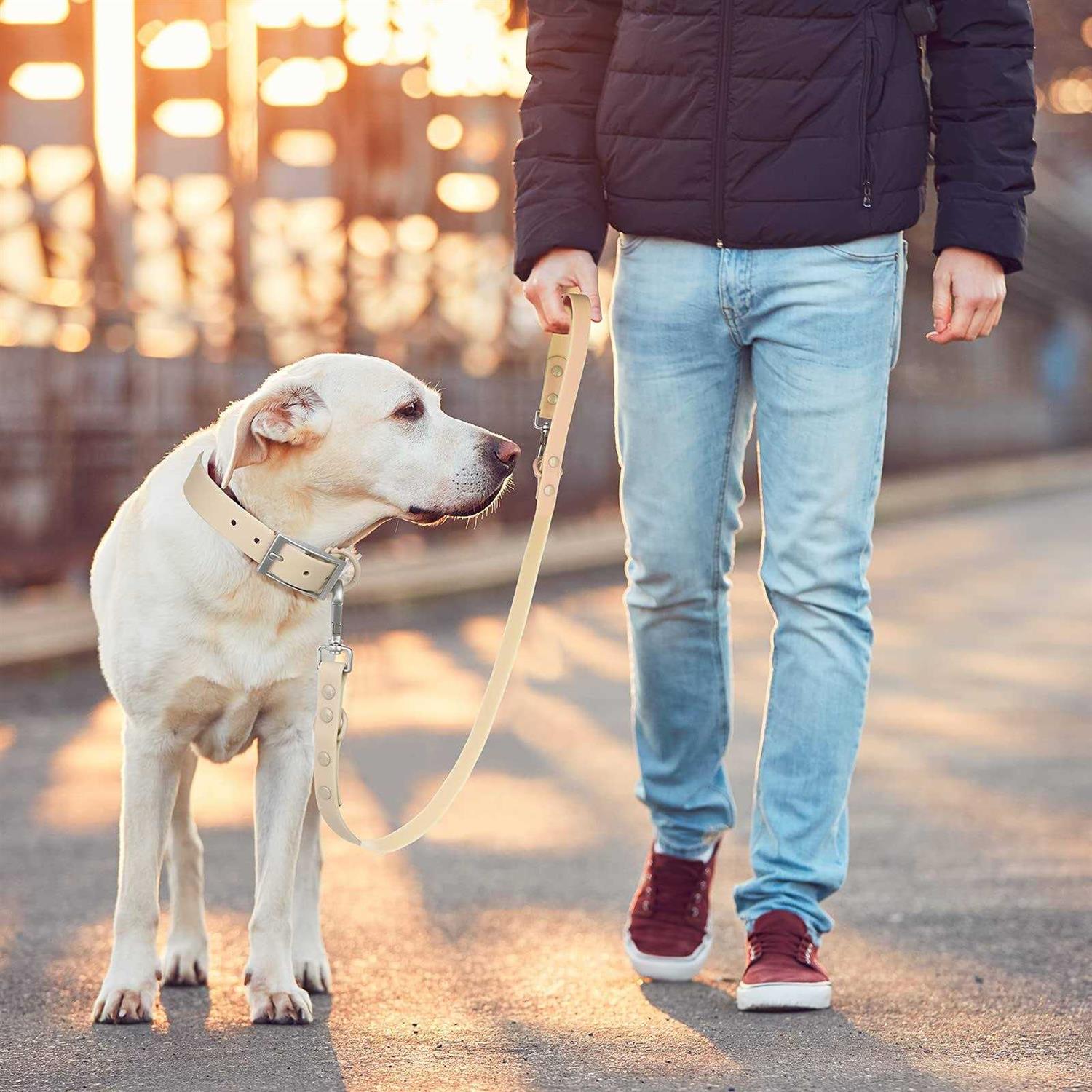 Waterproof Dog Leash with 2 Hooks, Adjustable Lengths L924