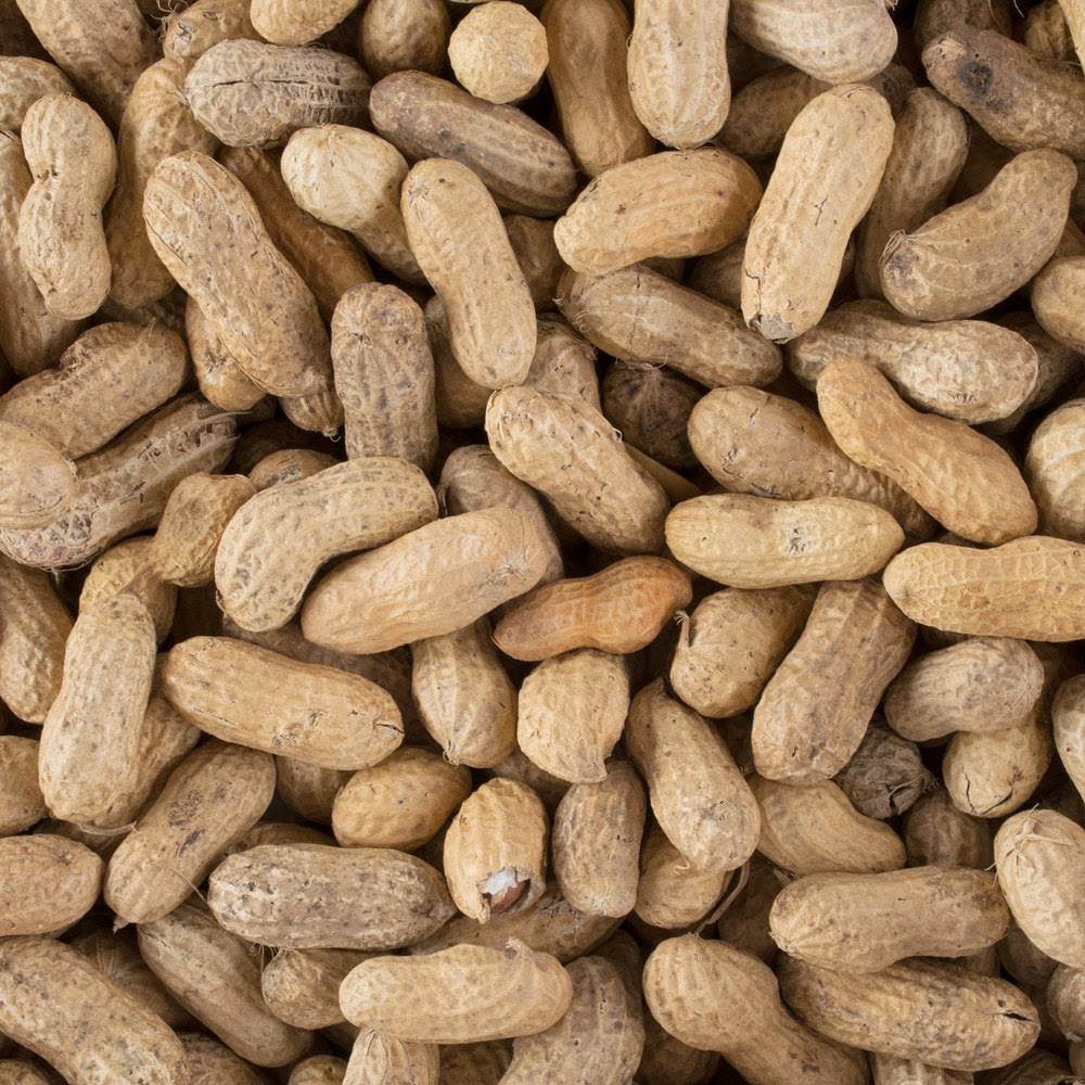 25 lb. Roasted Unsalted In-Shell Peanuts E5319