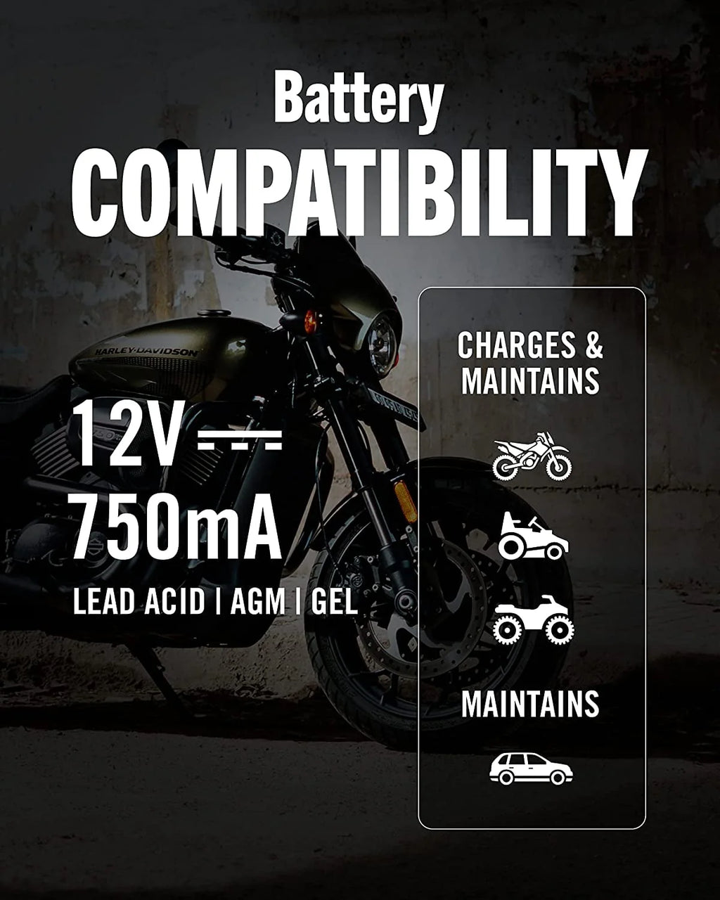 12V 750mA Automatic Battery Charger and Maintainer P814