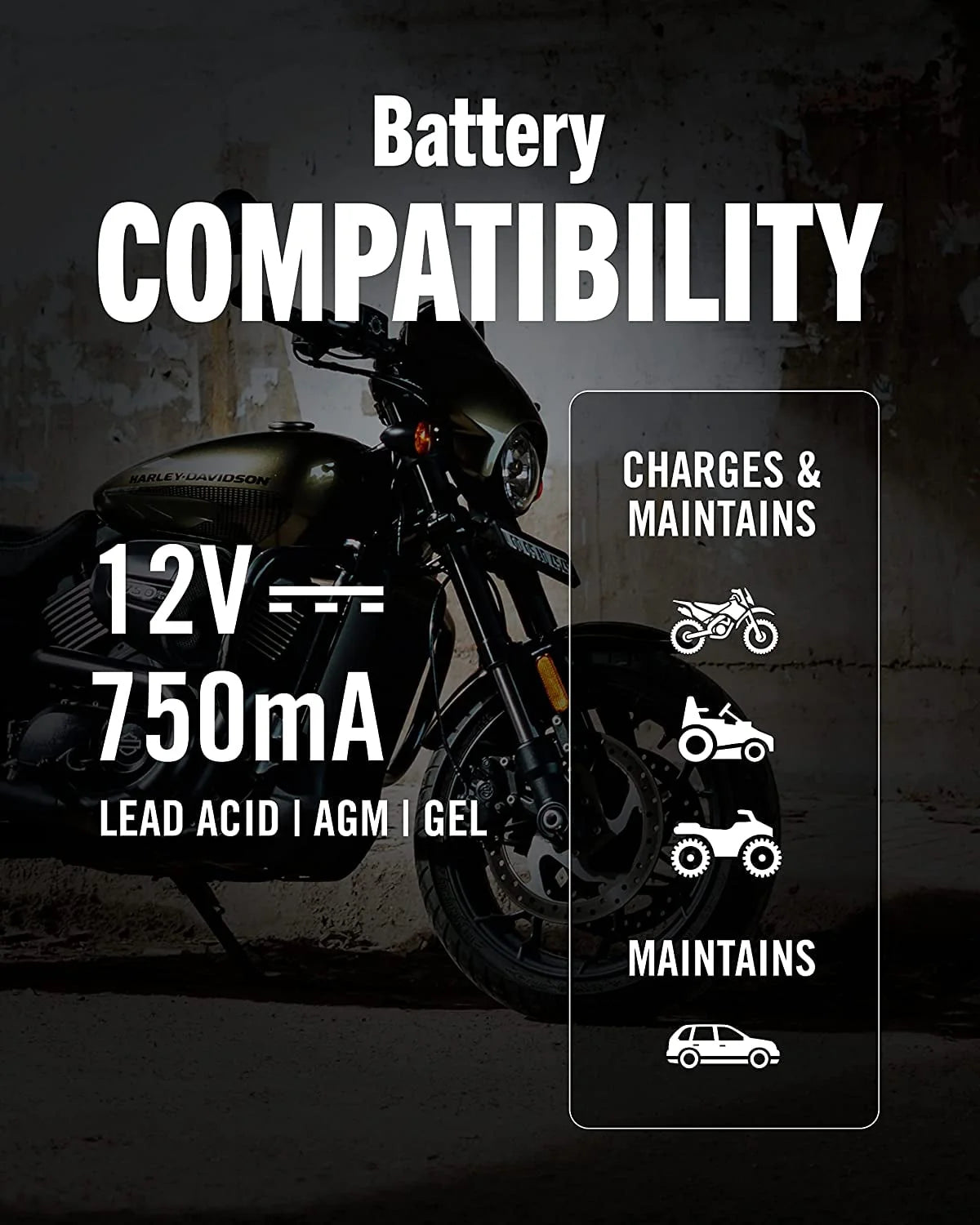 12V 750mA Automatic Battery Charger and Maintainer P814