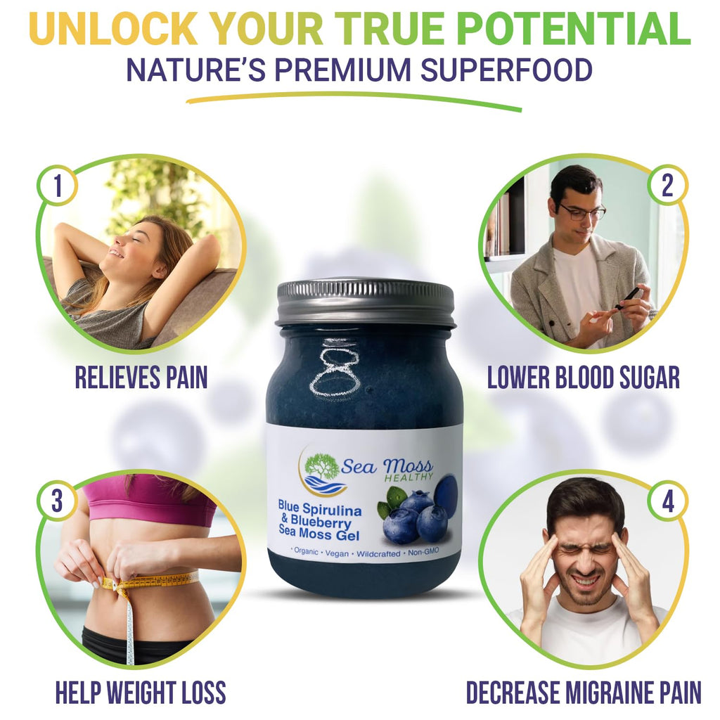 Blue Spirulina Blueberry Sea Moss Gel, 16 oz J7323