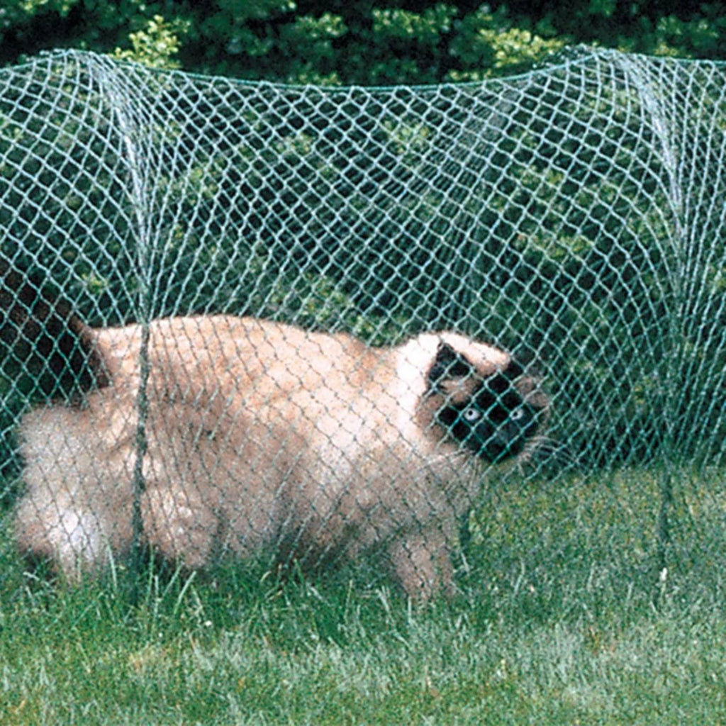 Green Outdoor Cat Enclosure M888