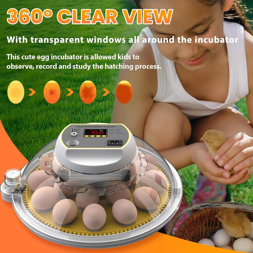 18-60 Eggs Incubator with Automatic Egg Turning and Auto Water Adding N953685