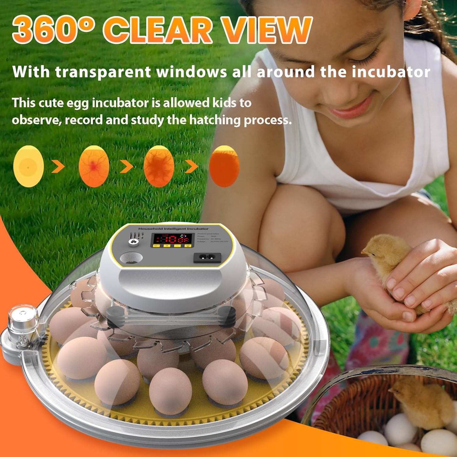 18-60 Eggs Incubator with Automatic Egg Turning and Auto Water Adding N953685