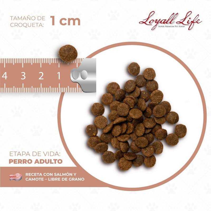 Grain Free Salmon Sweet Potato Dog Food 30 Pounds Q455065