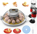 18-60 Eggs Incubator with Automatic Egg Turning and Auto Water Adding N953685