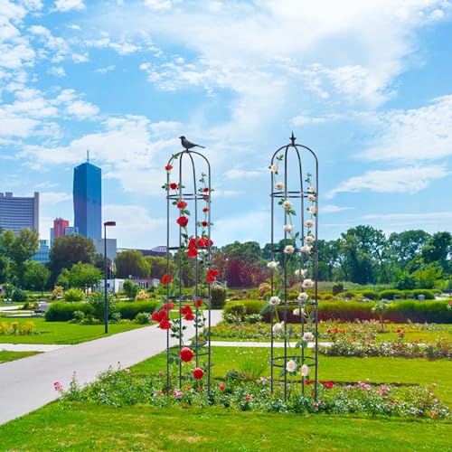 2 Pack 6ft Garden Obelisk Trellis for Climbing Plants J136