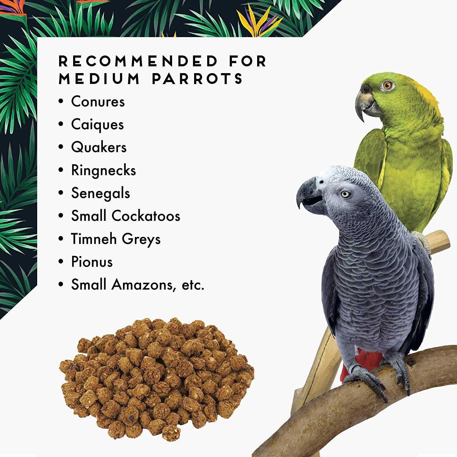 Oven Fresh Bites Large Pet Supplies A707061