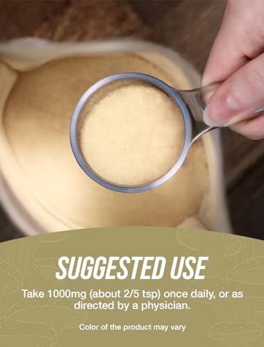 Reishi Mushroom Extract Powder, 1000mg per Serving, 500g (1.1 lbs) G156622
