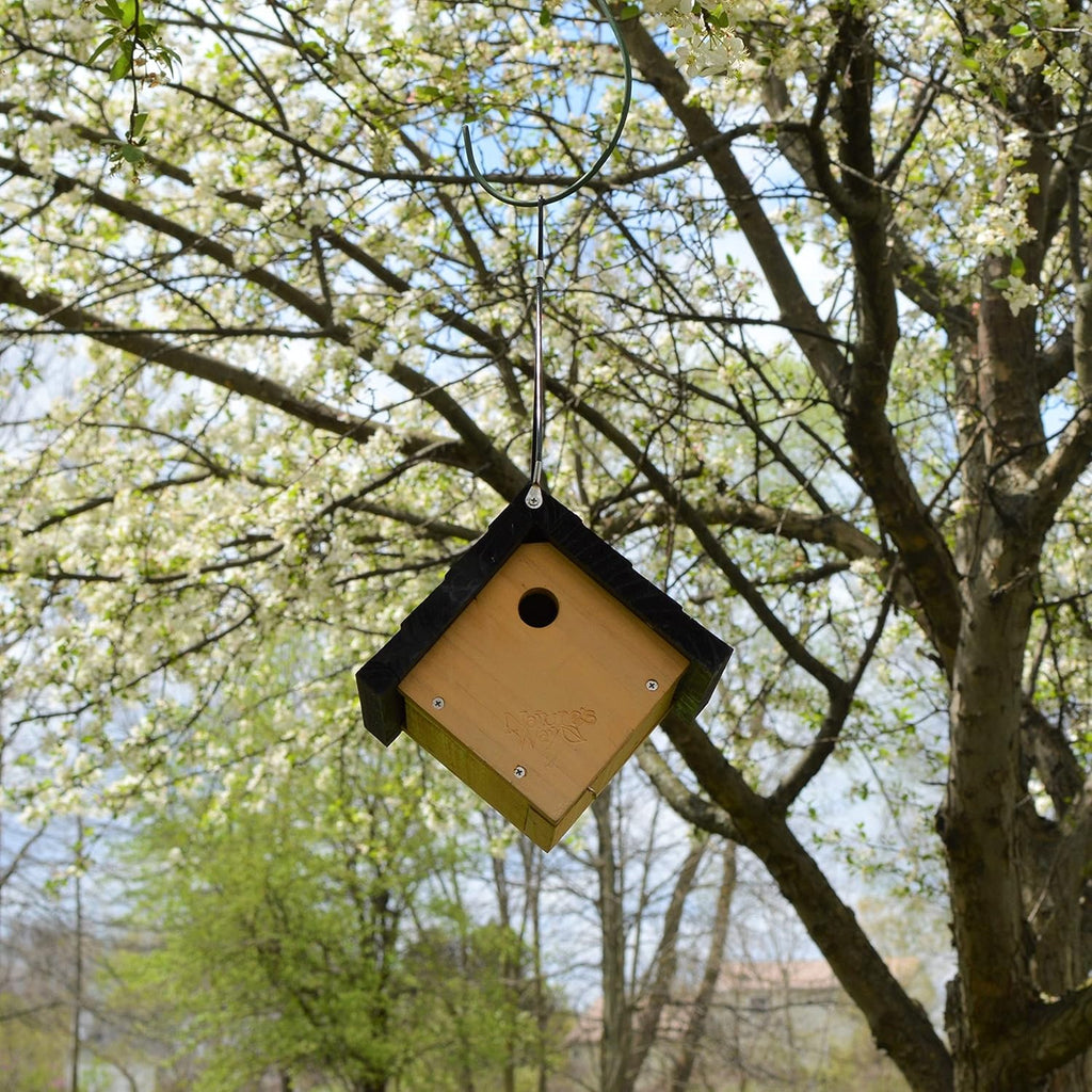 Cedar Wren House I671
