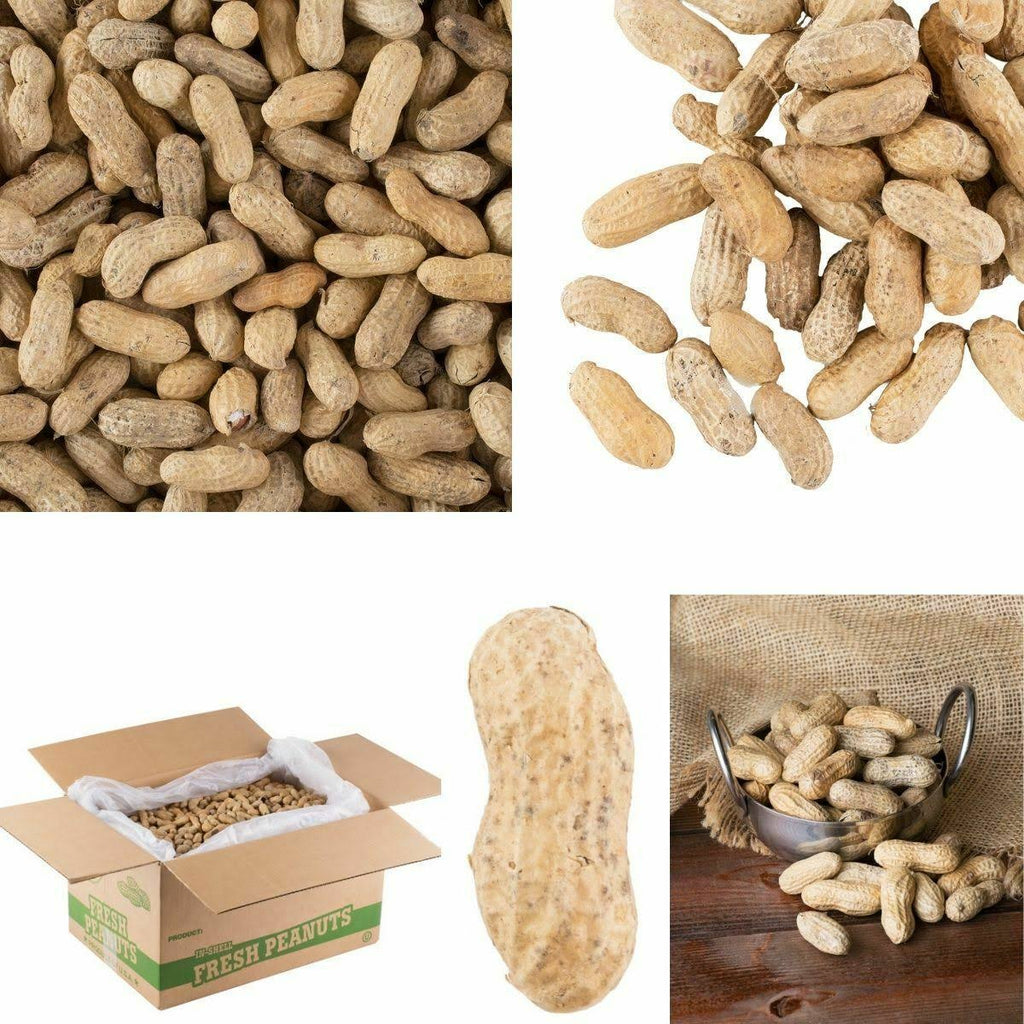25 lb. Roasted Unsalted In-Shell Peanuts E5319
